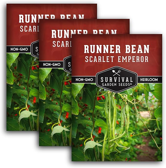 Scarlet Emperor Bean Seeds for Planting - Red Flowering Pole Beans & Ornamental Climbing Vine - Heirloom Non-GMO Pollinator-Friendly Variety for Vegetable Gardens - Survival Garden Seeds (3 Packs)