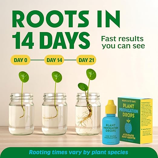 Rooting Drops for Plant Propagation | for Faster, Stronger Roots & Less Shock | Propagation Drops for Water, Soil, Moss, & More! Supports Plant Health During Repotting | for All Your Props & Cuttings