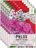 Seed Needs Annual Phlox Seeds for Planting a Colorful Mixture of Flowers - Heirloom & Open Pollinated Wildflowers to Attract Butterflies and Other Pollinators to an Outdoor Garden (5 Packs)