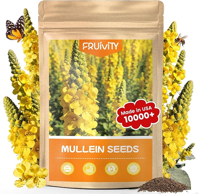 10,000+ Mullein Seeds for Planting(Verbascum Thapsus), Organic Heirloom Flower Seeds for Pollinator Gardens, Medicinal Herbs, Landscaping, Easy to Grow, Indoor Outdoor Growing