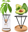 Avocado Tree Growing Kits, Avocado Growing Vase Wooden Base Avocado Seed Starter Vase Glass Plant Pot Easy Seed Sprout Starter Gift for Women Gardening Lovers Home Office Table Decoration