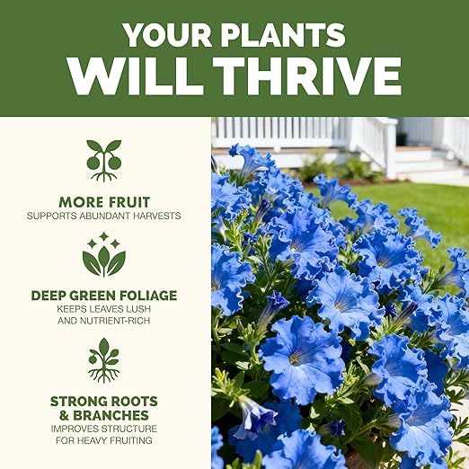 Plant Fertilizer for All Plants – Liquid Plant Food for Healthy Growth, Strong Roots & Vibrant Foliage, 1 Gallon