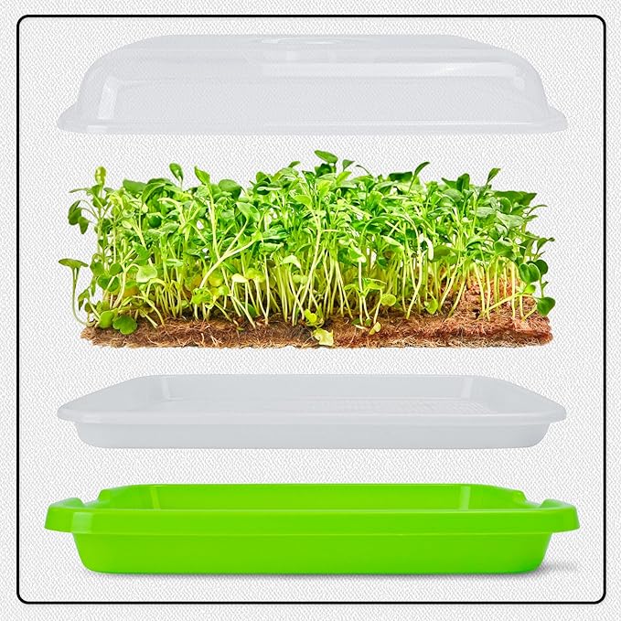 Microgreens Growing Trays with Lids and Coconut Fiber Mat,Seed Sprouter Tray with Drain Holes,Seed Starter Tray Reusable,Microgreens Growing Trays,Cat Grass Growing Kit for Indoor Cats (Pack 3)