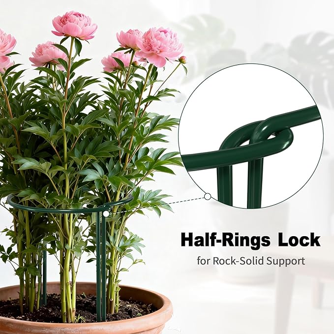 AMAGABELI GARDEN & HOME 12 Pack Plant Support Stakes 10" W x 15.8" H Heavy Duty Half Round Peony Cage Metal Garden Support Structures Plant Cage with Ties for Indoor Flower Tomato Hydrangea Monstera