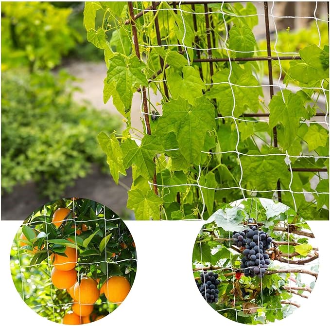 Trellis Netting, PDGROW Garden Plant Trellis Netting, 6 x 30 ft Heavy Duty Garden Trellis Netting, Outdoor Grow Net for Vines, Fruits, Vegetables, Grapes, Beans,Peas, 1 Pack