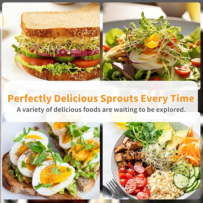 Updated Sprouting Kit - 2 Sprouting Jar Kits, Wide Mouth Quart Mason Jars | Broccoli, Microgreens, Alfalfa Sprout Jar | Perfect for Home Gardeners, Health Enthusiasts & Vegan Diets