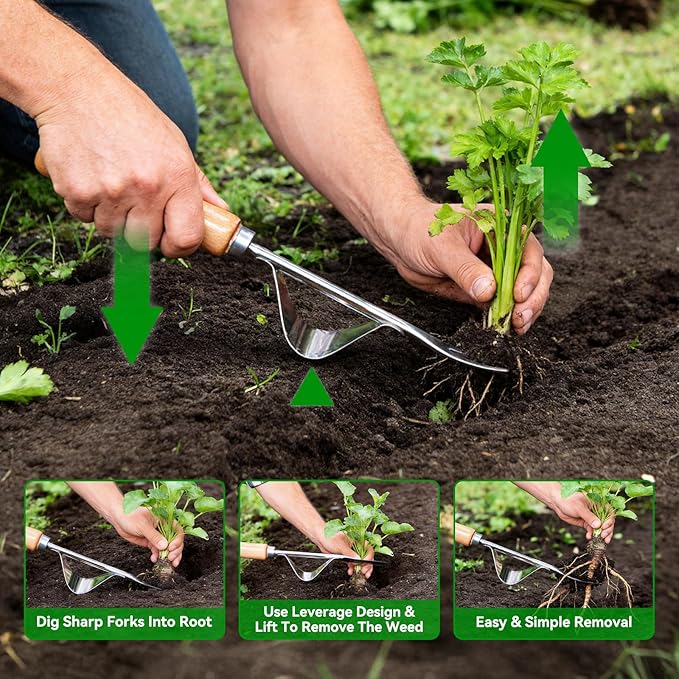 2 Pack Garden Weeding Tools, Stainless Steel V-Shaped Weed Puller & Root Hook Weeder, Heavy Duty Hand Weeder with Ergonomic Wooden Handle for Dandelion, Root Removal, Lawn and Garden