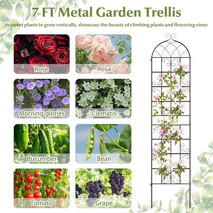 Giantex 2 Packs 86"x20" Metal Garden Trellis for Outdoor Climbing Plants, Heavy-Duty Plant Support for Vine Rose Vegetable Flower, Rustproof Black Metal Coating Patio Trellis Arch Decorative Fence