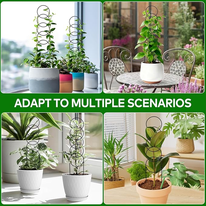 16 Inch Plant Trellis Indoor for Climbing Plants,Metal Small Garden Trellis for Potted Plants,Plant Stakes for Indoor Plants Accessories Hoya,Flower,Plant Support,Plant Gifts 2PCS