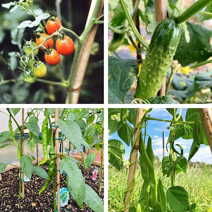 Bamboo Stakes 6FT Garden Stakes Plant Stakes for Outdoor Climbing Plants Poles Support Mini Tree Vines Pole Beans Cucumber 20 Pack