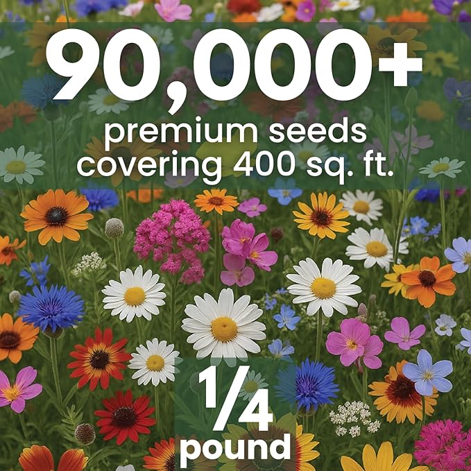 Drought Tolerant Mix – 90,000 Seeds for Planting – 2026 Season – 4 Ounce Pouch