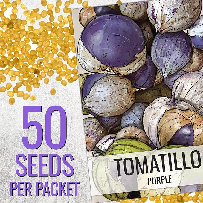 Seed Needs Tomatillo Seeds for Planting Purple Tomatillos - Non-GMO Heirloom & Untreated Annual Veggie Seed to Plant a Home Grown Vegetable Garden Outdoors (1 Pack)