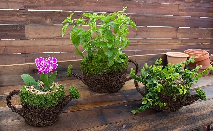 SuperMoss (55261) 9" Deco Watering Can Planter Basket, Large