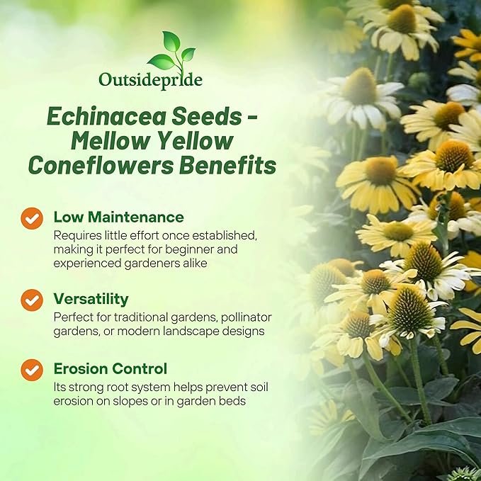Outsidepride Mellow Yellows Echinacea Coneflower Seeds - 25 Pcs Perennial, Deer-Proof & Drought Tolerant Flower Seeds with Daisy-Like Blooms for Pollinator-Friendly Gardens, Borders, & Meadows