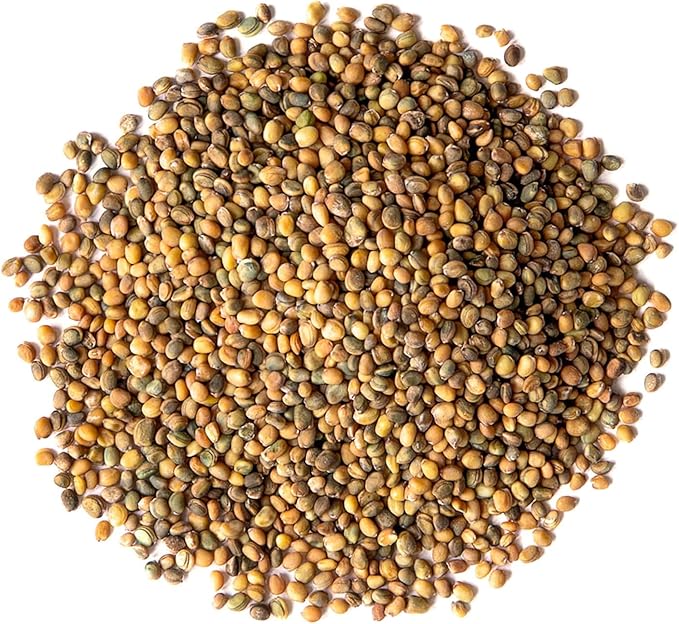 Food to Live Organic Arugula Sprouting Seeds, 4 Pounds - Non-GMO, Kosher, Great for Sprouting & Planting, High Germination Rate, Vegan Superfood, Bulk, Microgreens & Plants for Salads, San
