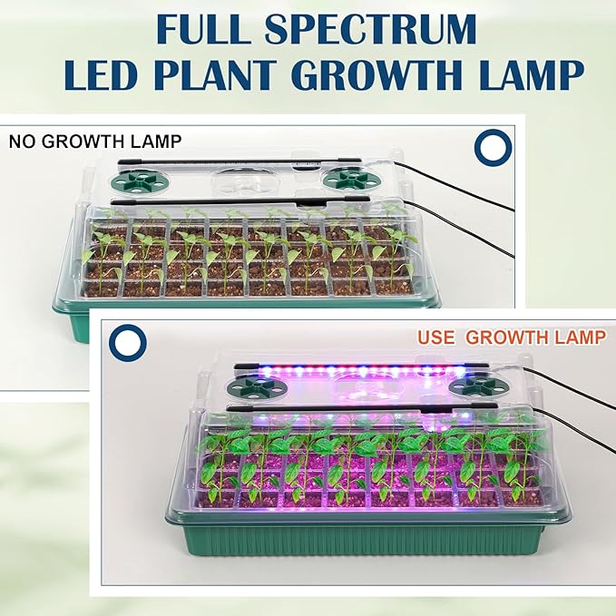 Nandae Seed Starter Tray with Grow Light, 2 Pack 80 Cells Seedling Tray Kit with Humidity Hood and Drainage Hole, Adjustable Light & Timing, Perfect for Indoor Seed Cultivation