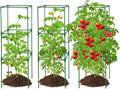 Sturdy Tomato Cage for Garden - 45x14.5x14.5in Easy to Assemble Square Tomato Plant Support Poles, Heavy Duty Metal Plant Tower Stakes Cucumber Trellis for Climbing Vegetable Flowers Fruits, 3 Pack