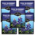 Texas Bluebonnet Seeds for Planting - 5 Packets with Instructions to Plant & Grow Lupinus Texenisis in Your Home Wildflower Garden - Non-GMO Heirloom Variety- Survival Garden Seeds - Drought Resistant