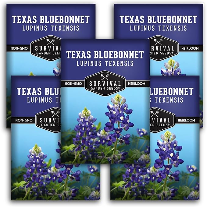 Texas Bluebonnet Seeds for Planting - 5 Packets with Instructions to Plant & Grow Lupinus Texenisis in Your Home Wildflower Garden - Non-GMO Heirloom Variety- Survival Garden Seeds - Drought Resistant