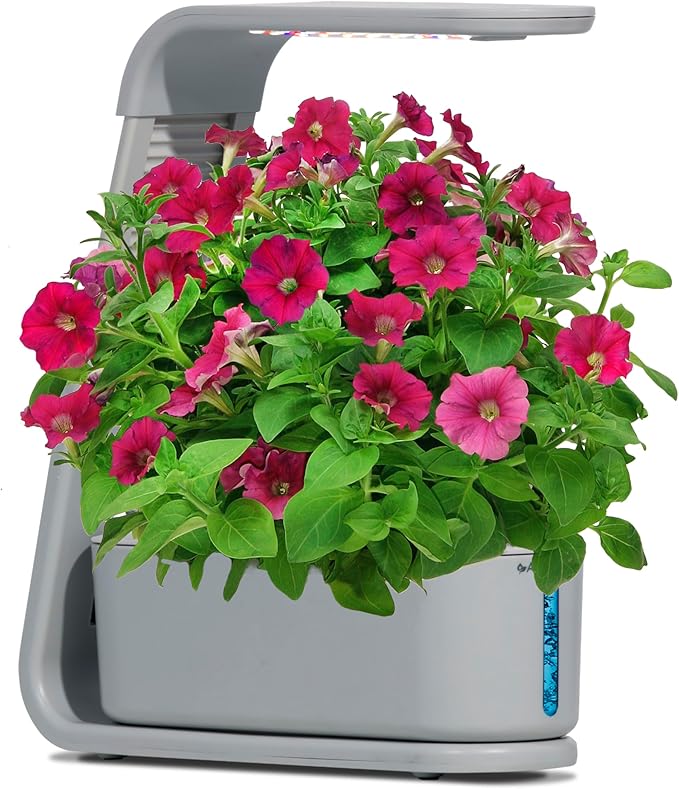 AeroGarden Sprout with Gourmet Herb Seed Pod Kit - Indoor Garden with LED Grow Light, Cool Gray