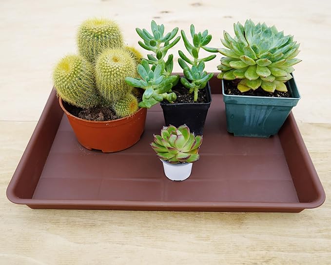 VUWEZ 4 Pack Plant Saucer Tray Rectangular, Plant Saucers for Indoors, Heavy Sturdy Plastic Plant Drainage Trays, Plant Drip Trays for Pots, Seed Starter Growing Tray (11 x 9 inch, Chocolate)