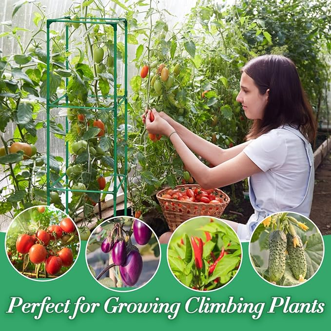 3 Pack Tomato Cages for Garden, Square Tomato Trellis with Grow Bags, 49 IN Tall Heavy Duty Tomato Plant Stakes Support Cages Trellis for Raised Beds Pots Garden Climbing Vegetables Flowers Fruits