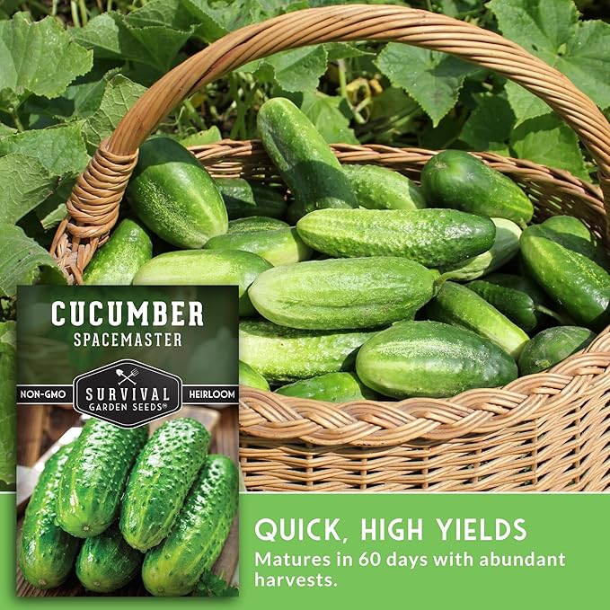 Spacemaster Cucumber Seeds for Planting | Compact Heirloom Non-GMO Variety for Small-Space Gardens – Survival Garden Seeds (2 Packs)