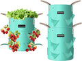 3 Pack 20 Gallon Strawberry Grow Bags, Heavy Duty Reusable PE Pots with Breathable Window, Branch & Drainage Holes, Reinforced Handles for Strawberries, Veggies, Flowers, Balcony/Patio Use