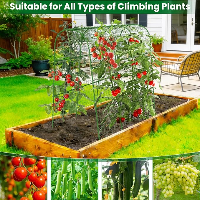 Cucumber Trellis for Raised Bed 48" L x 48" H U-Shape Garden Trellis for Climbing Plants Outdoor, Metal Arch Trellis for Vegetables, Plant Support for Tomato Pea Zucchini Grape Flowers