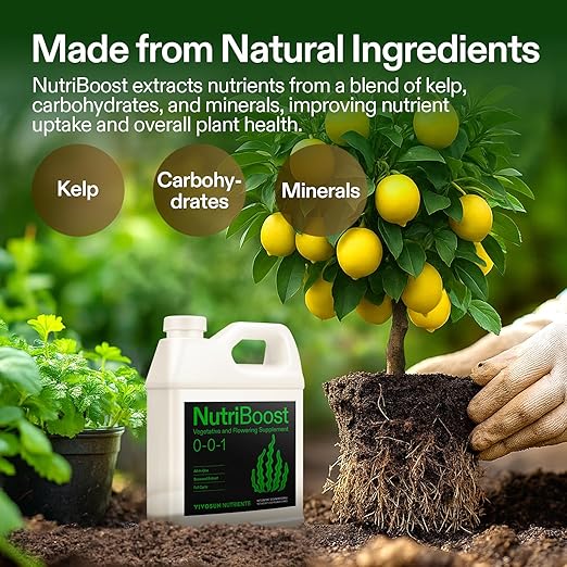 VIVOSUN Seaweed and Kelp Fertilizer, Concentrated Plant Additive NutriBoost (0-0-1), All-Purpose Liquid Food for All Growing Stages, for Trees, Vegetables, Flowers, Fruits, Lawn, 32 Ounces/1 Quart