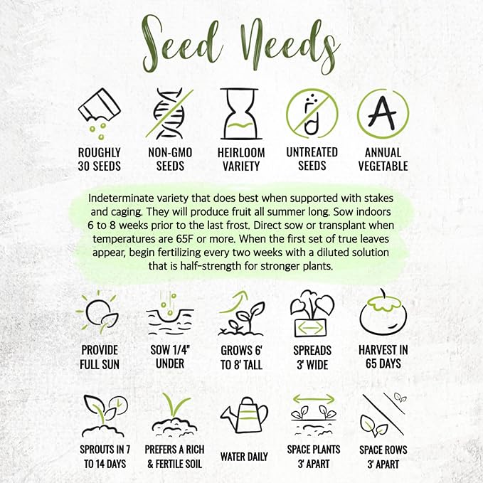Seed Needs Tomato Seeds for Planting Black Cherry Tomatoes - Non-GMO Heirloom & Untreated Indeterminate Variety to Plant a Home Grown Outdoor Vegetable Garden (1 Pack)