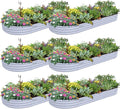 6 Pack 8x3x1FT Galvanized Raised Garden Bed Kit Oval Metal Ground Planter Box Outdoor Bottomless Planter Raised Beds for Vegetables Flowers Herbs Fruits, Gray