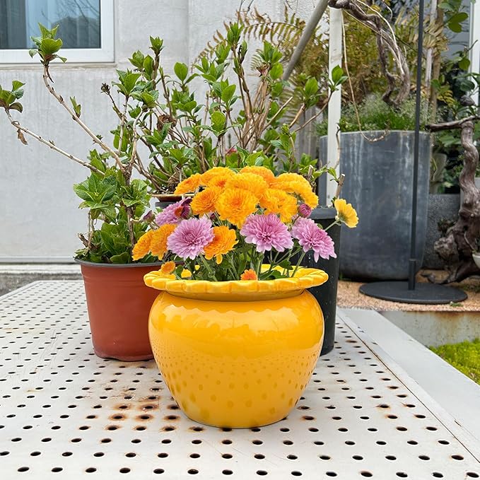 8in Self Watering Terracotta Planter - Yellow Ceramic Pot Maintenance Plant Seeder Planter for Indoor Plants African Violet