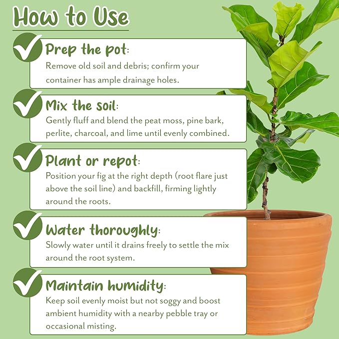 Soil Sunrise Premium Fiddle Leaf Fig Tree Soil (12 Quarts) - Expert Formula for Vibrant Growth - Nutrient-Rich Potting Mix,Specifically Designed for Healthy Indoor,Outdoor,& Potted Fiddle Fig Plants