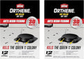 Ortho Orthene Ant Killer Ant Bait, Indoor Ant Killer, Kills The Queen and The Colony, 12 Stations, 2-Pack