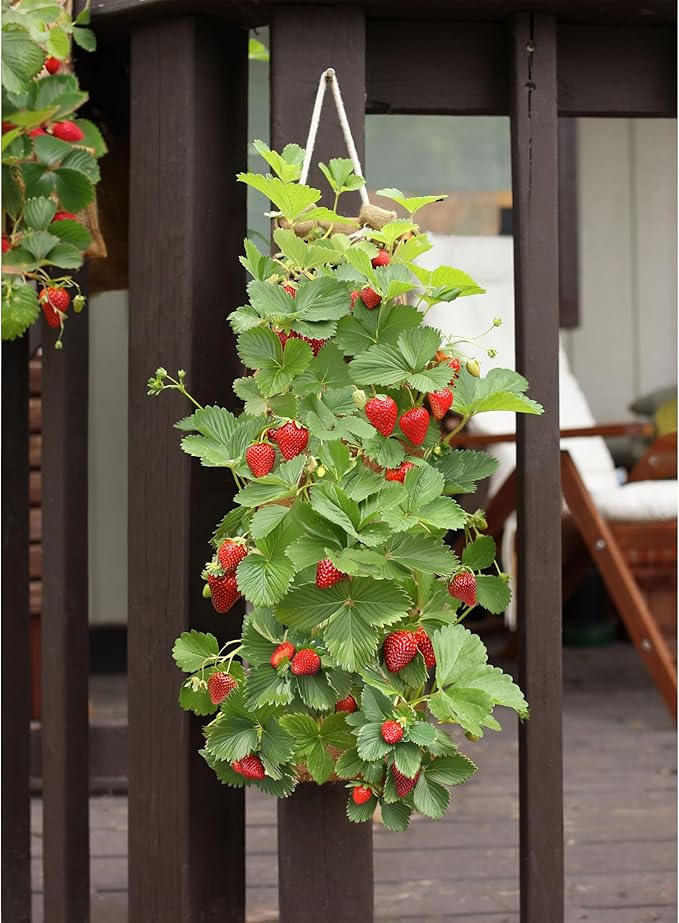 Hang & Grow Burlap Hanging Planter Bags for Outdoor Plants, Vertical Flower Hanging Bag for Easy Outside Garden Decoration, Reusable for Flowers, Strawberry, Vegetables and Herbs, (2 Bags, 6 Holes)