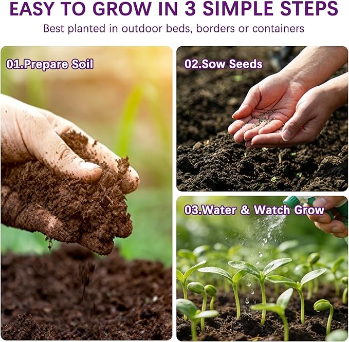 Wildflower Seeds Mix 1/2 lb 36 Varieties Perennial& Annual Flower Seeds Set for Planting，Non-GMO Heirloom Seed, Bulk Wild Flower Seeds for Indoor & Outdoors, Individual Seed Packets for Home Garden