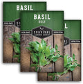 Holy Basil Seed for Planting - Indian Sacred Herb Tulsi Seeds to Grow in Your Home Vegetable Garden - Non-GMO Heirloom Variety - Survival Garden Seeds (3 Packs)
