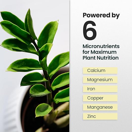 32oz ZZ Plant Fertilizer - Makes 64 Gallons of Liquid Fertilizer for Indoor Plants, Outdoor & Houseplant Food for ZZ Plant Live - Nutrient-Rich Formula for Glossy Leaves & Strong Roots