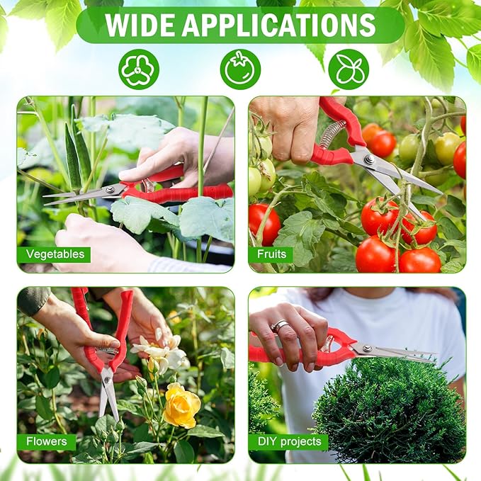 Lasnten 12 Pcs Needle Nose Pruner Bulk 8.3"" Extra Long Edge Stainless Steel Pruning Shears Hand Pruning Snips Fruit Trees Bonsai Garden Scissors Tool, Red, HIU-Lasnten-1222