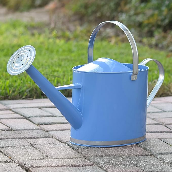 Arcadia Garden Products WC17 Chic Watering Can, Indoor and Outdoor, Easy Pour, Gift, 1.8 gal, Sky Blue
