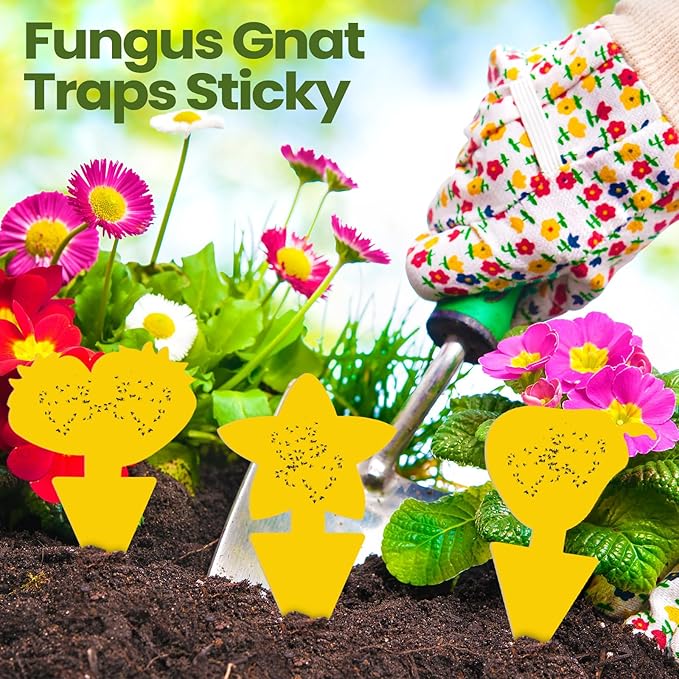 Qualirey 200 Sheets Fruit Fly Sticky Traps for Fruit Fly Gnat Trap for House Indoors Sticky Traps Catcher for Gnats Fungus Gnats Mosquito Catcher for Kitchen Outdoor Plants (Cute Style, Yellow)