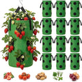 12-Pack Upside Down Grow Bags for Strawberries, Tomatoes & Vegetables - 3 Gallon Hanging Planters with 12 Planting Holes, Dark Green Breathable Fabric Garden Bags for Outdoor Herbs & Fruits
