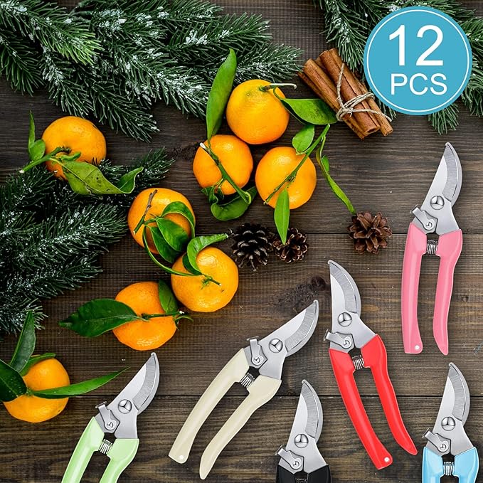 Lothee 12 Pcs Gardening Scissors Pruning Shears Stainless Steel Plant Scissors Flower Cutters for Stems Flower Clippers Garden Pruners for Cutting Flowers, Plants, Light Branches and Picking Fruits
