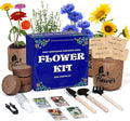 Indoor Daisy Garden Starter Kit, 4 Flower Seeds Growing into Shasta Daisy, Cornflower, Sunflower, Zinnia, Including Complete Gardening Tools, Christmas Gifts for Women Men & Beginners