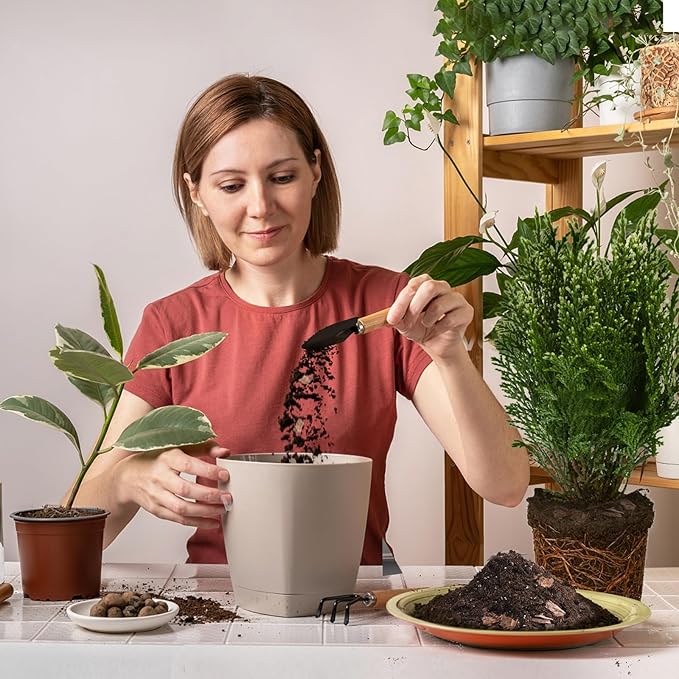 Doter Bonsai Soil Mix 2qt Ready to Use, Organic Bonsai Tree Soil Fits for Small Bonsai Pot, Suitable for Bonsai Seedling, Repotting, or Bonsai Starter Kit, black