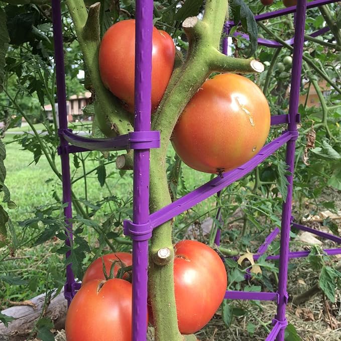 Tomato Cage 5ft 6-Pack Large Tall Tomato Cages Tomato Stakes Plants Supports Garden Stakes,40 Clips and Plant Ties Include, Green