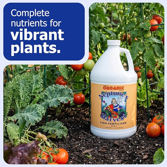 Neptune's Harvest Fish Fertilizer (2-4-1) - 1 Gallon Bottle - Organic Liquid Plant Fertilizer - Fish Hydrolysate for Vegetables, Flowers, Fruit, Trees, Grass - Indoor and Outdoor Plant Food