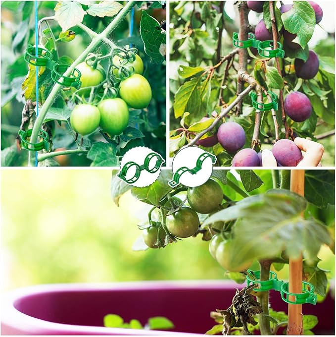 200 PCS Plant Support Clips Reusable Garden Clips, Secured Plastic Plant Clips, Tomato Support Clips for String Trellis for Climbing, Plants Flowers Stem Vine Fixing Clips (200, GREEN)