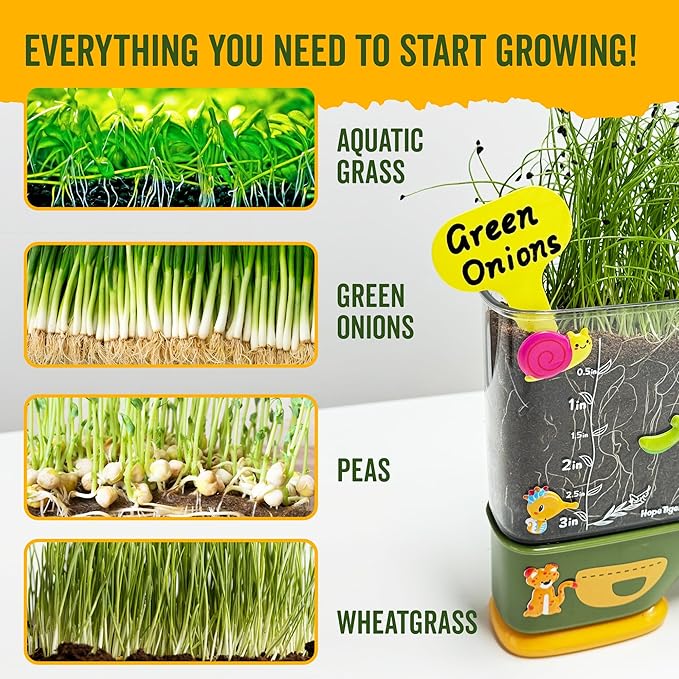 Gardening Root Viewer for Kids - Planting Kits with Seeds & Garden Supplies - Grow Your Own Seed - Home & Classroom Science Stem Learning - Plant Growing Spring Farm Toys & Gifts for Ages 6 Up